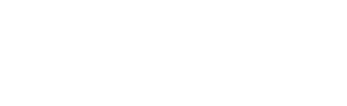 nexon logo
